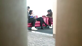 გაფუჭებული შავგვრემა ...