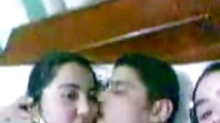 ყორანი თმიანი, ჯია ს ...